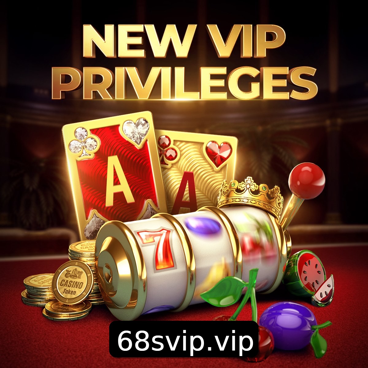 Programa VIP 68S